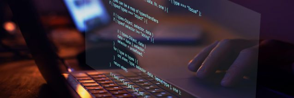 Programación a medida y servicios WEB